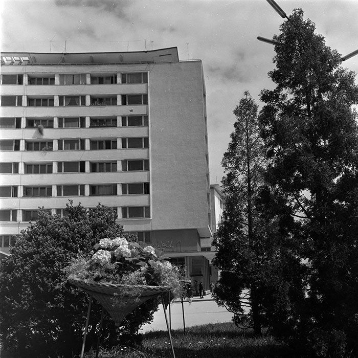 minerva_diverse_c1_c4_011