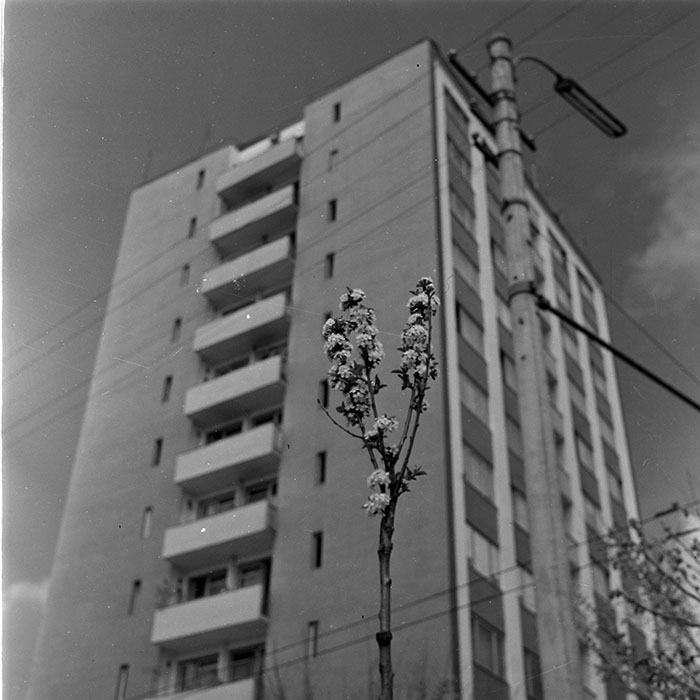 minerva_diverse_c1_c4_014