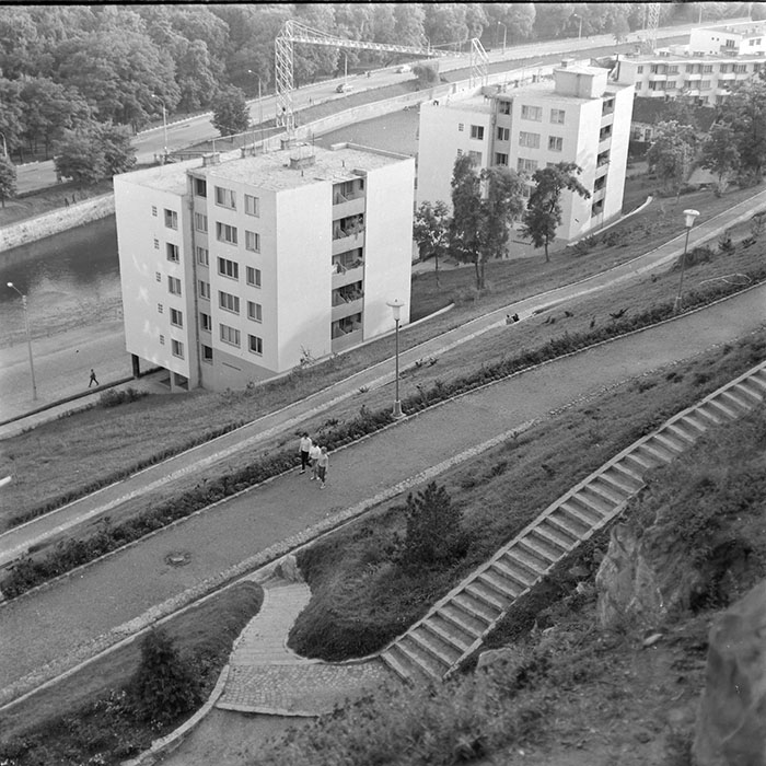 minerva_diverse_c1_c4_019