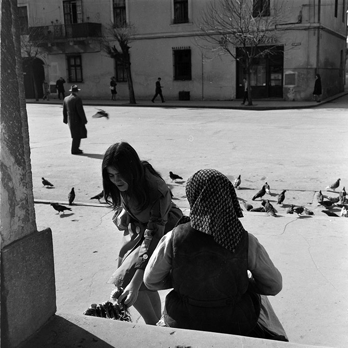 minerva_diverse_c1_c4_022