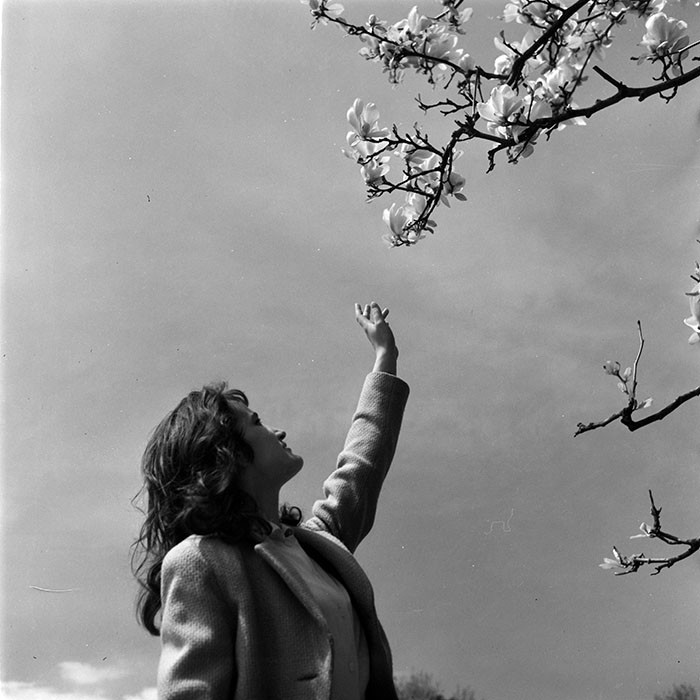 minerva_diverse_c1_c4_025