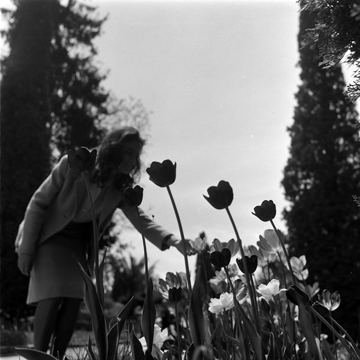 minerva_diverse_c1_c4_026