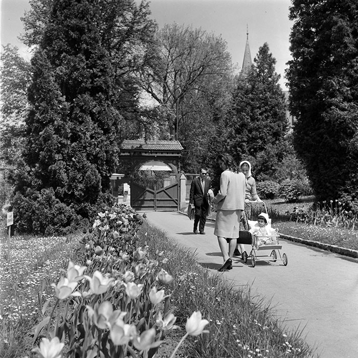 minerva_diverse_c1_c4_027