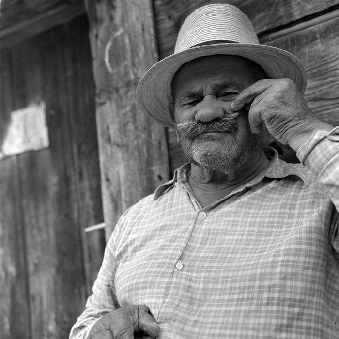 minerva_diverse_c1_c4_028