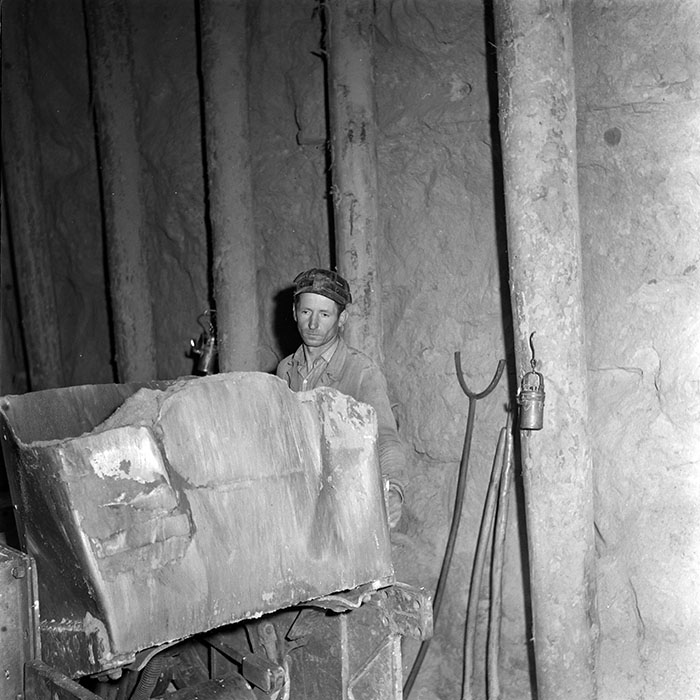 minerva_diverse_c1_c4_036