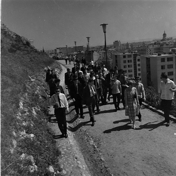 minerva_diverse_c1_c4_037