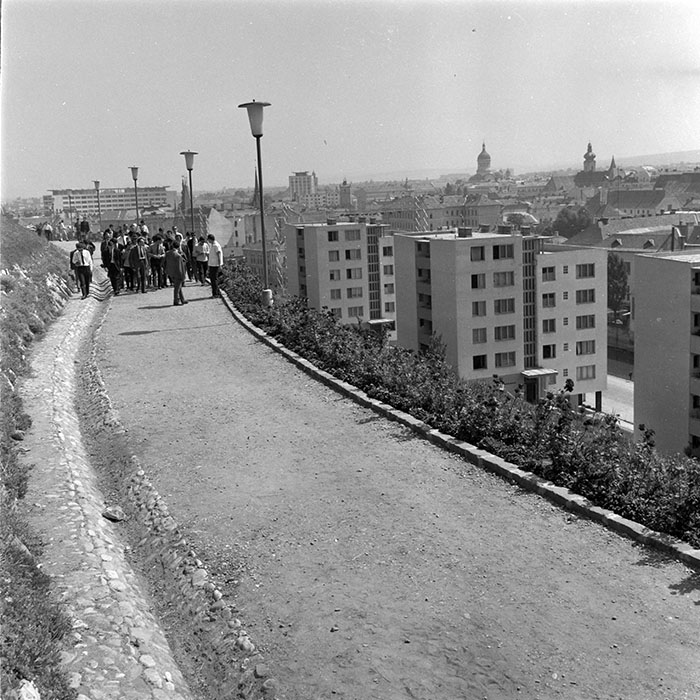 minerva_diverse_c1_c4_038