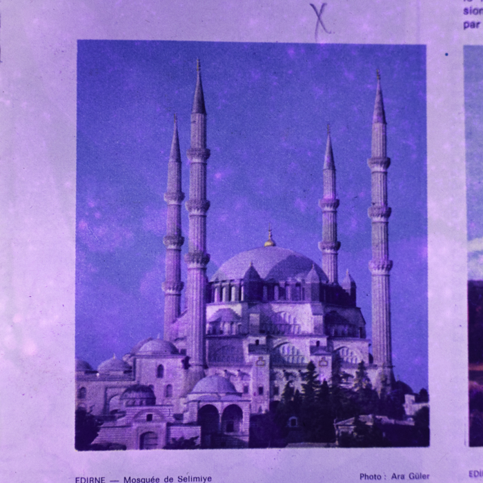 minerva_dn_1967_206_reproduceri_edirne_turcia_001