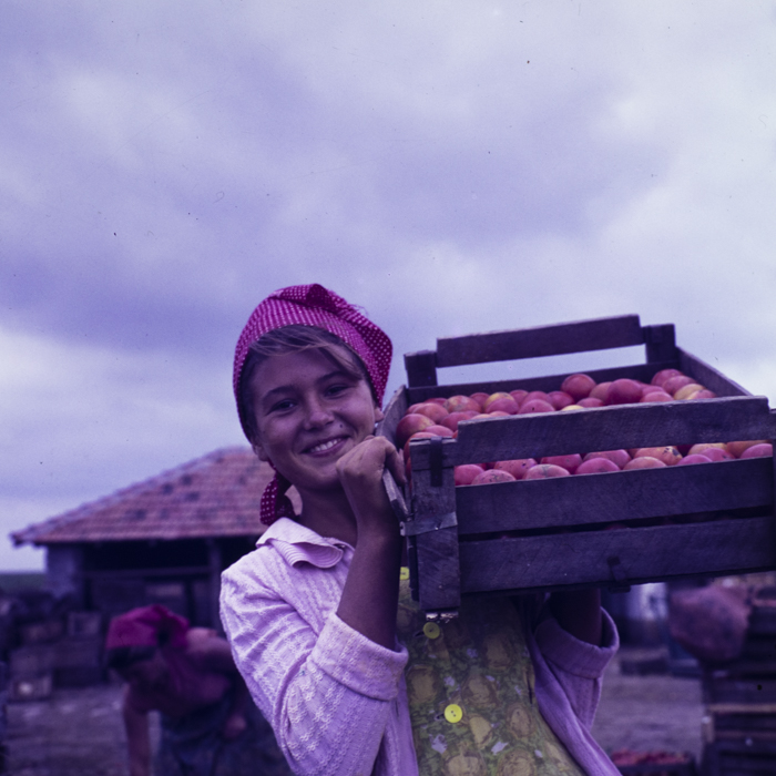 minerva_dn_1967_208_c.a.p_23_august_001