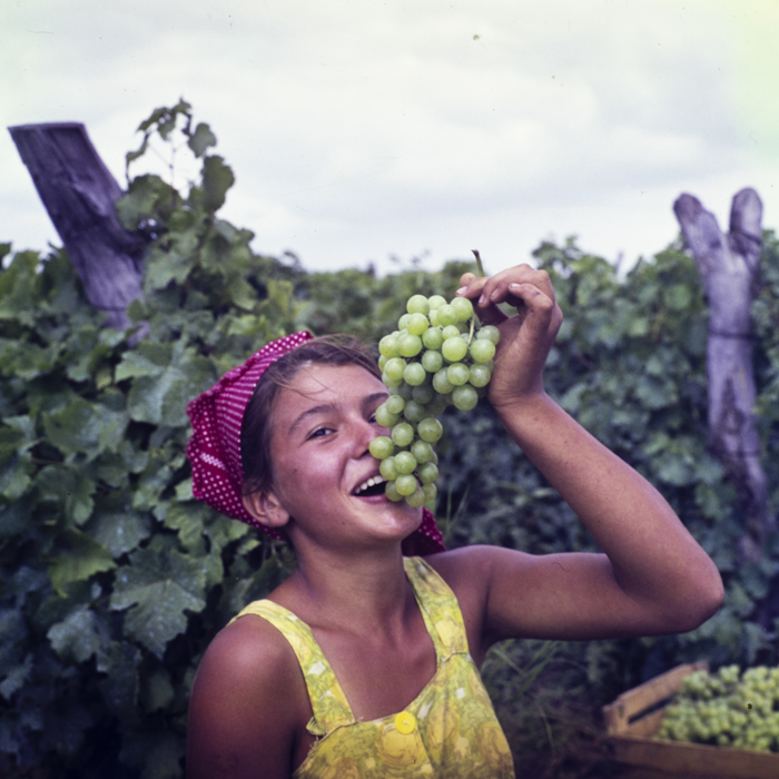 minerva_dn_1967_208_c.a.p_23_august_002