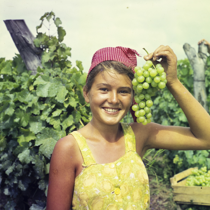 minerva_dn_1967_208_c.a.p_23_august_003