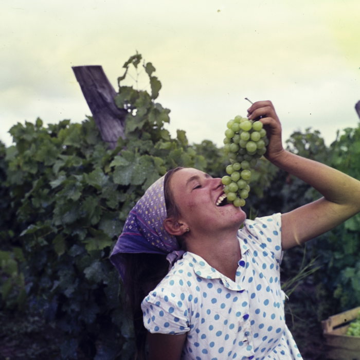 minerva_dn_1967_208_c.a.p_23_august_005