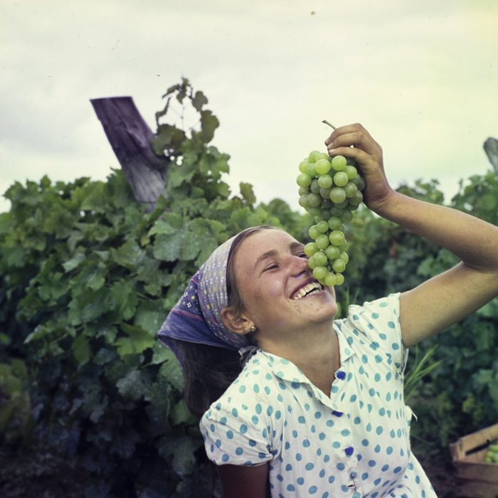 minerva_dn_1967_208_c.a.p_23_august_006