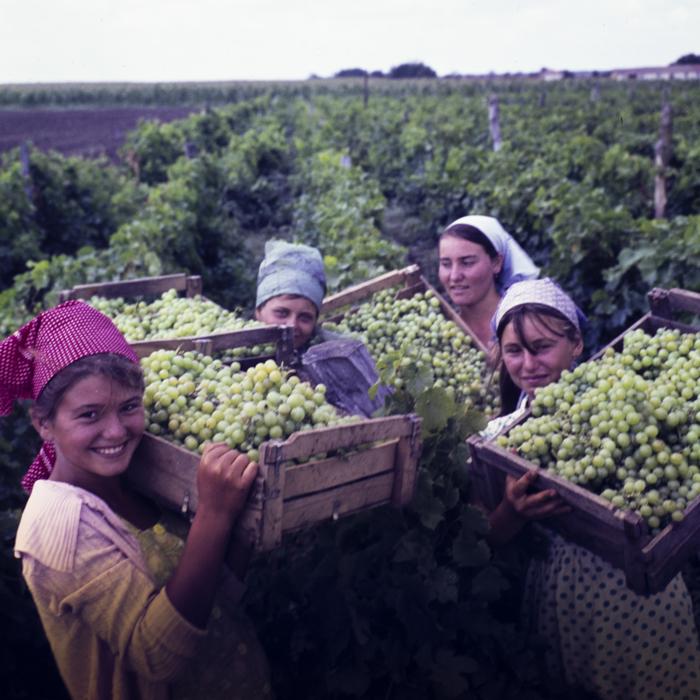 minerva_dn_1967_208_c.a.p_23_august_009