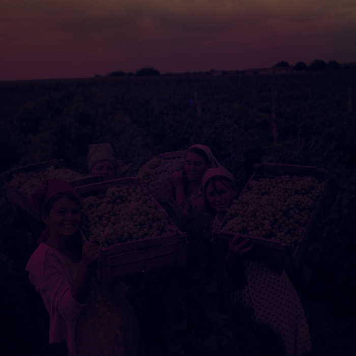 minerva_dn_1967_208_c.a.p_23_august_010