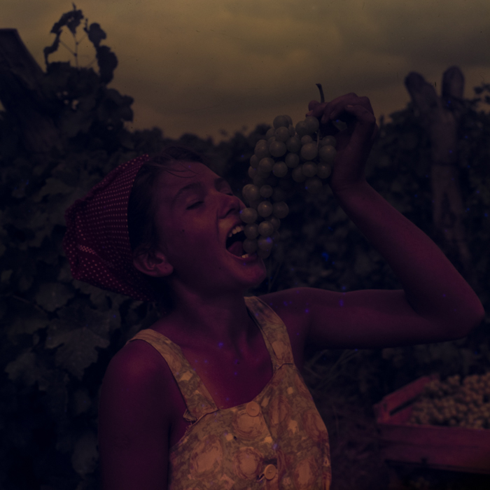 minerva_dn_1967_208_c.a.p_23_august_012