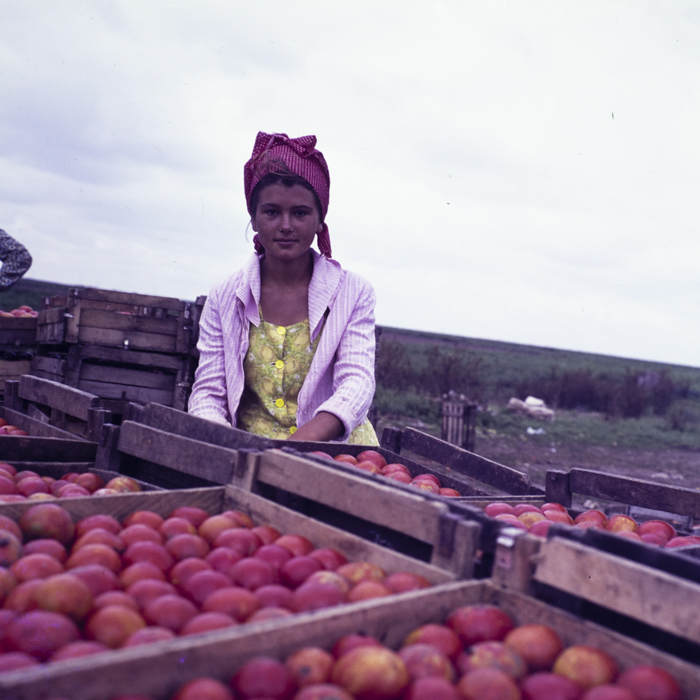 minerva_dn_1967_208_c.a.p_23_august_013