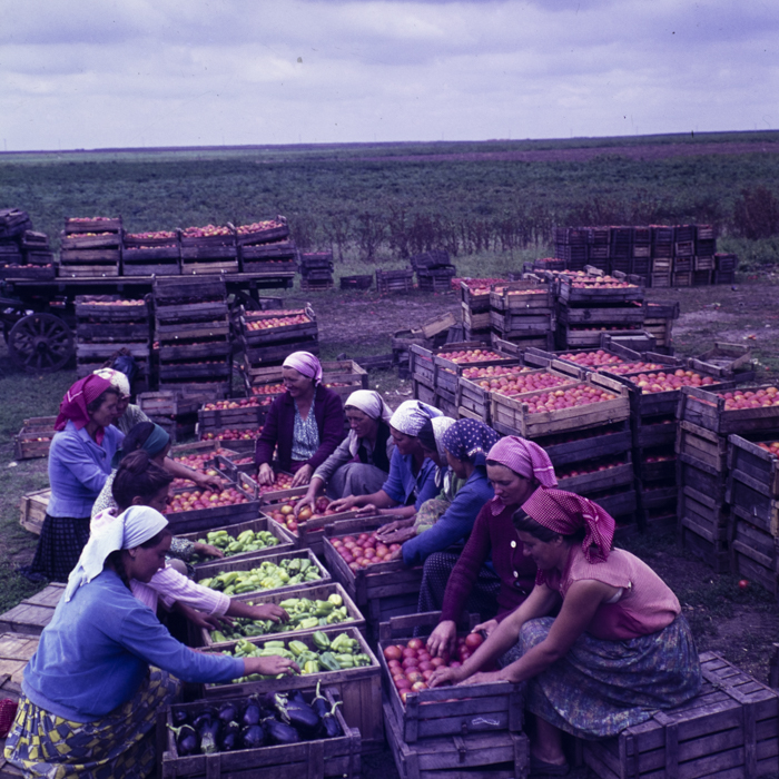 minerva_dn_1967_208_c.a.p_23_august_014