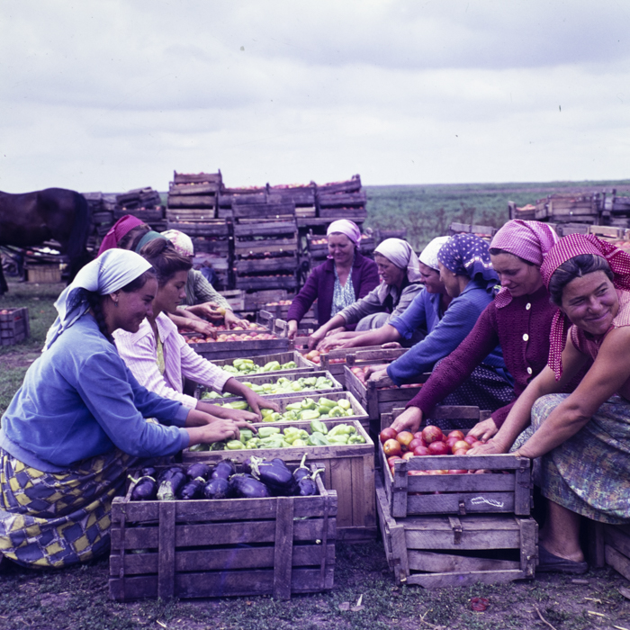 minerva_dn_1967_208_c.a.p_23_august_015