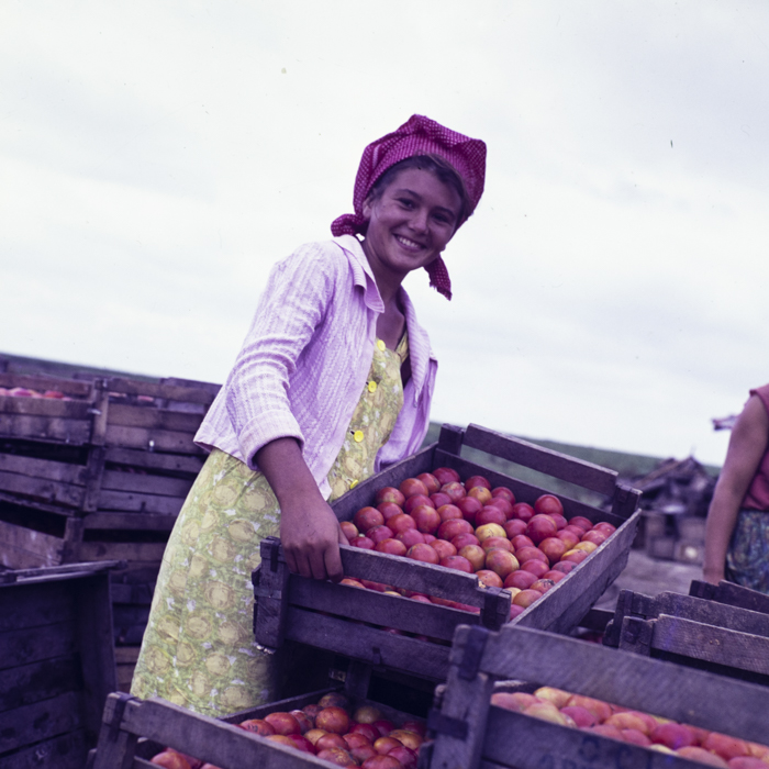 minerva_dn_1967_208_c.a.p_23_august_016