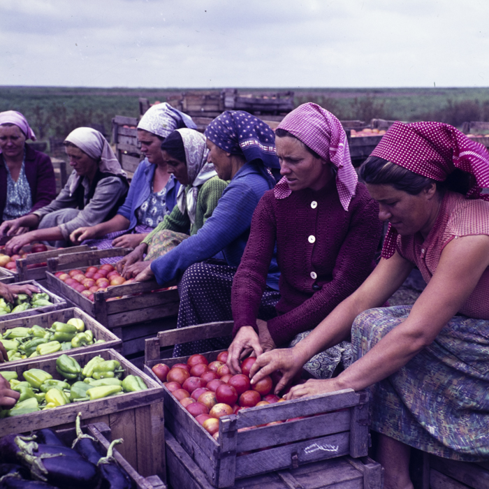 minerva_dn_1967_208_c.a.p_23_august_019