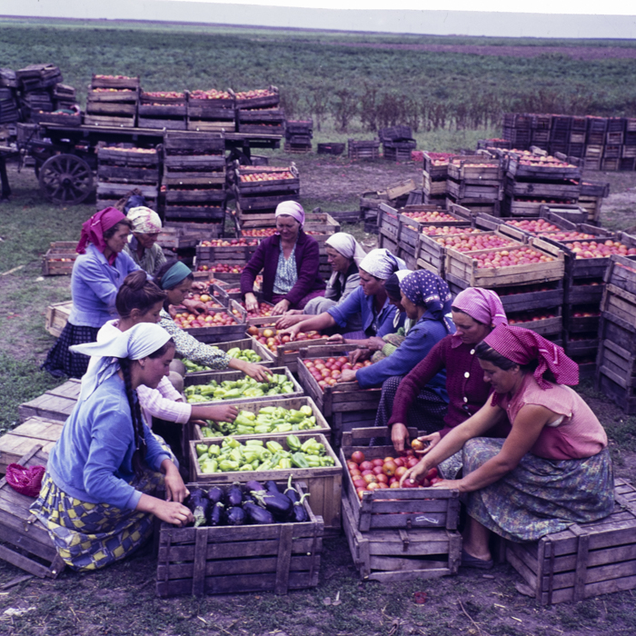 minerva_dn_1967_208_c.a.p_23_august_020