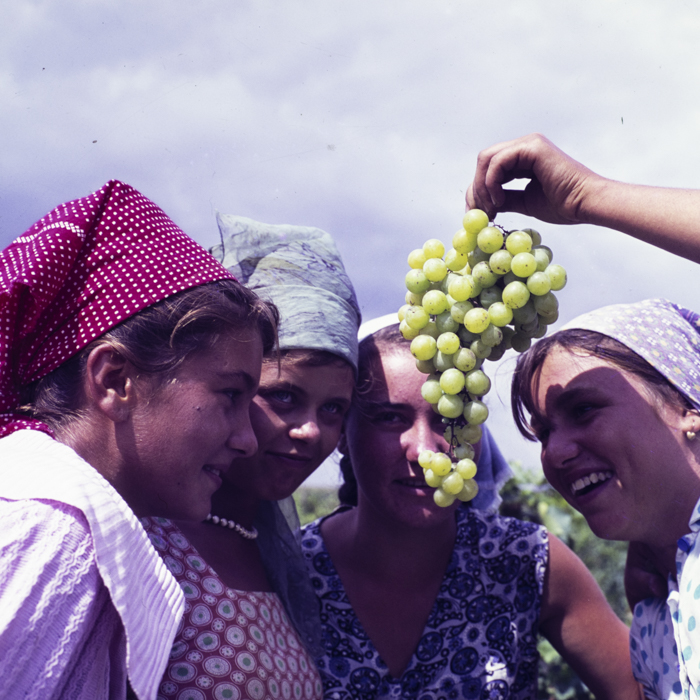 minerva_dn_1967_208_c.a.p_23_august_021