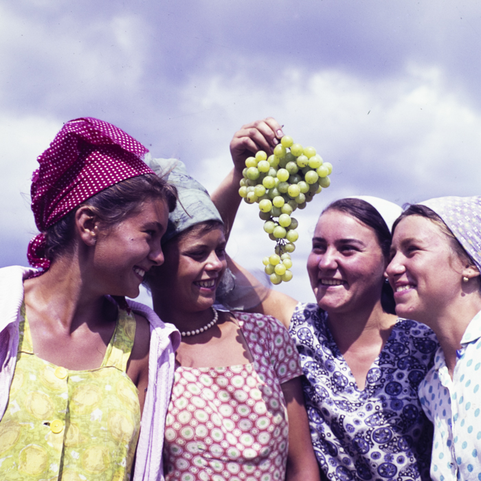 minerva_dn_1967_208_c.a.p_23_august_022