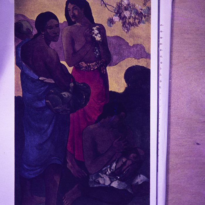 minerva_dn_1967_212_gaugain_002