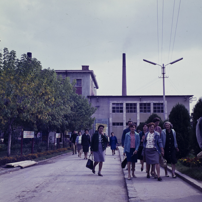 minerva_dn_1967_219_fabrica_de_portelan_cluj_007