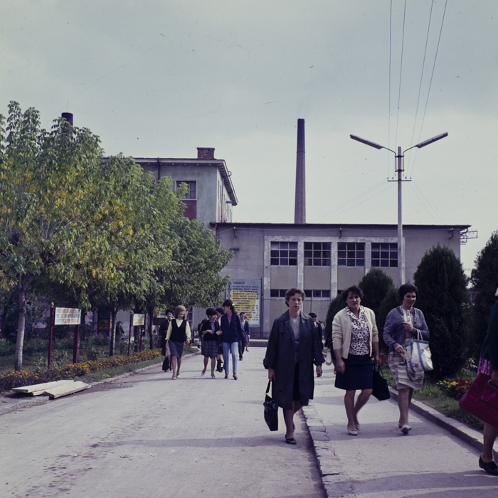 minerva_dn_1967_219_fabrica_de_portelan_cluj_008