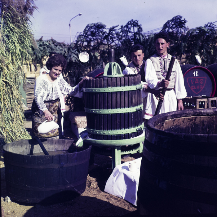 minerva_dn_1967_220_ziua_recoltei_003