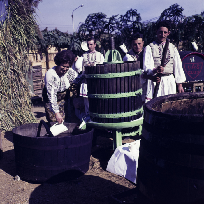 minerva_dn_1967_220_ziua_recoltei_006