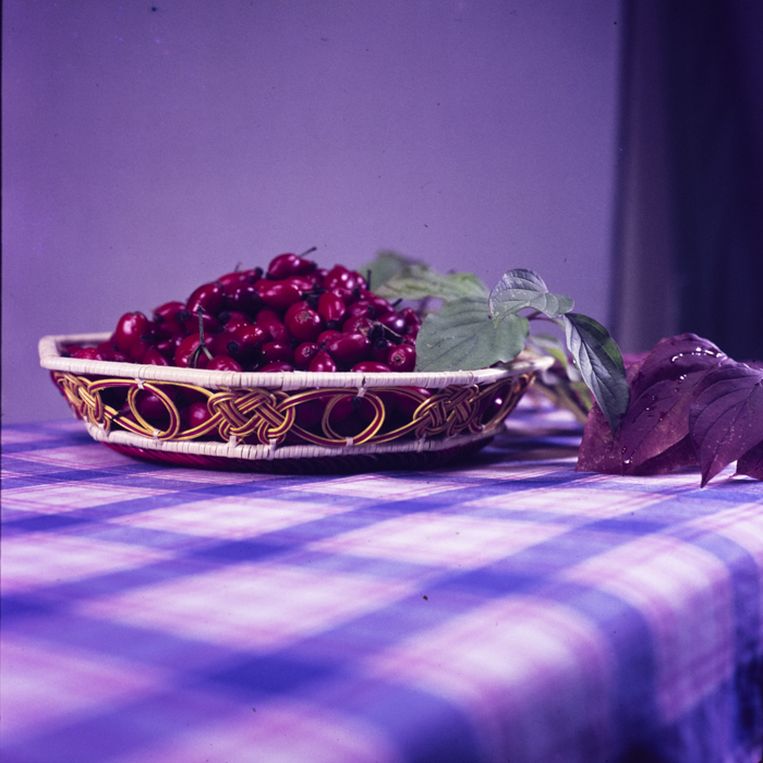 minerva_dn_1967_220_ziua_recoltei_010