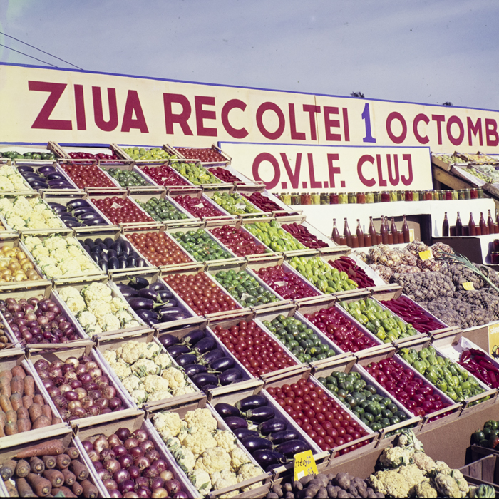 minerva_dn_1967_220_ziua_recoltei_012