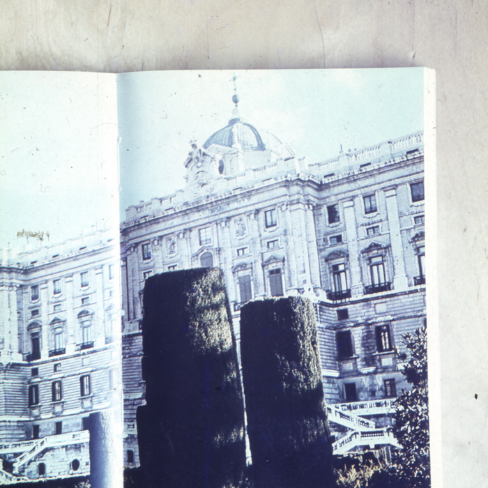 minerva_dn_1967_234_reprodiceri_spania_001