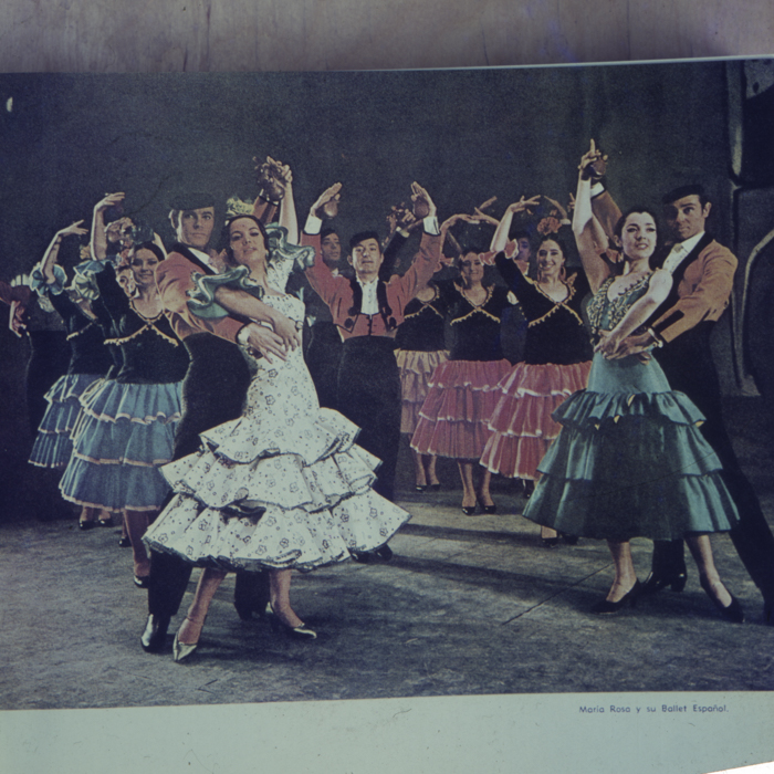 minerva_dn_1967_234_reprodiceri_spania_0011