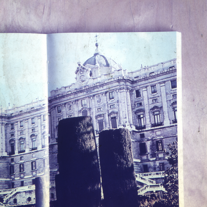 minerva_dn_1967_234_reprodiceri_spania_009