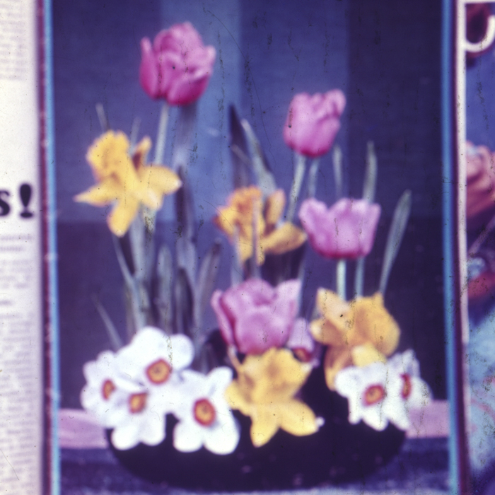 minerva_dn_1967_247_reproduceri_externe_008