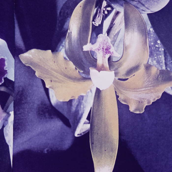 minerva_dn_1967_248_reclama_revista_sebok003