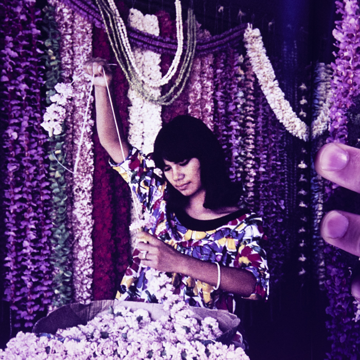 minerva_dn_1967_248_reclama_revista_sebok019