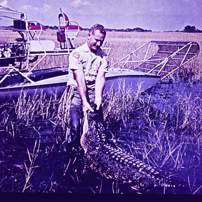 minerva_dn_1967_248_reclama_revista_sebok021