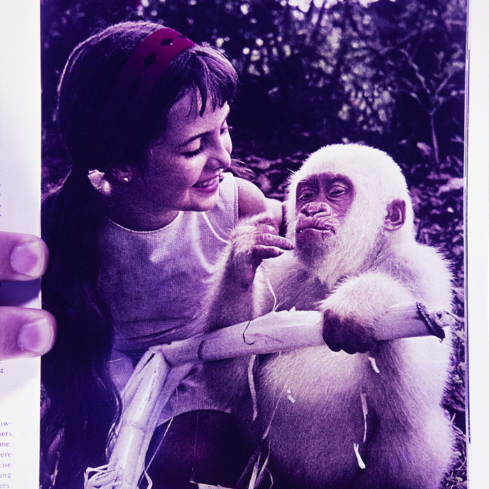 minerva_dn_1967_248_reclama_revista_sebok022