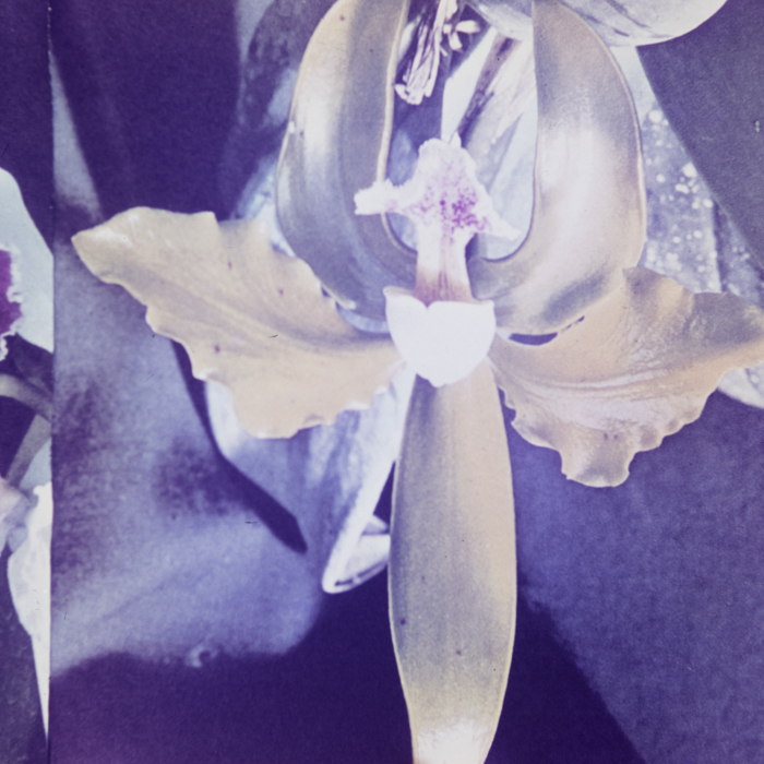 minerva_dn_1967_248_reclama_revista_sebok023