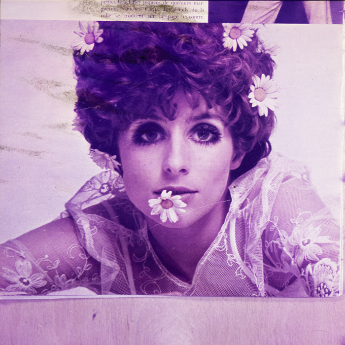 minerva_dn_1968_259_reproduceri_002