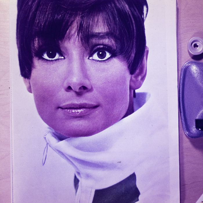 minerva_dn_1968_259_reproduceri_010