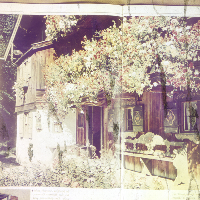 minerva_dn_1968_263_reproduceri_002