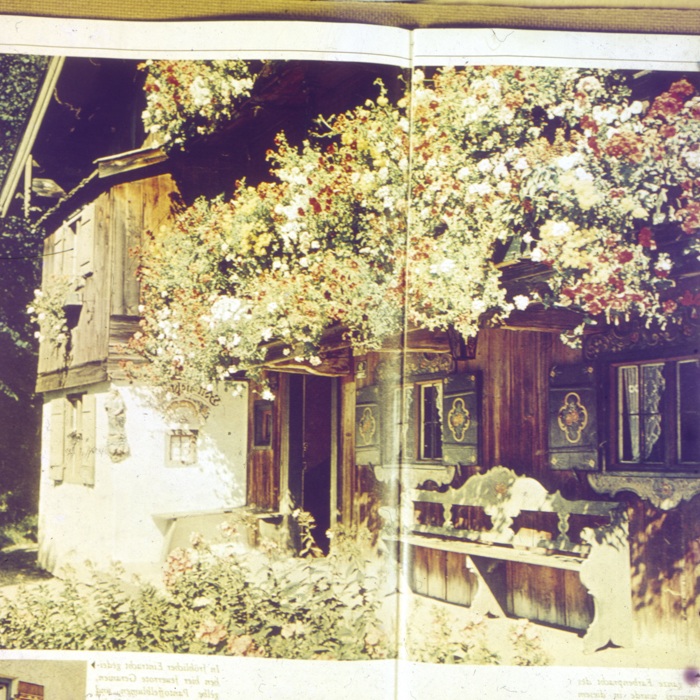 minerva_dn_1968_263_reproduceri_003