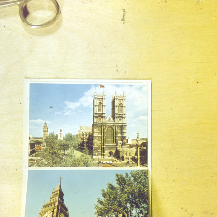 minerva_dn_1968_263_reproduceri_007