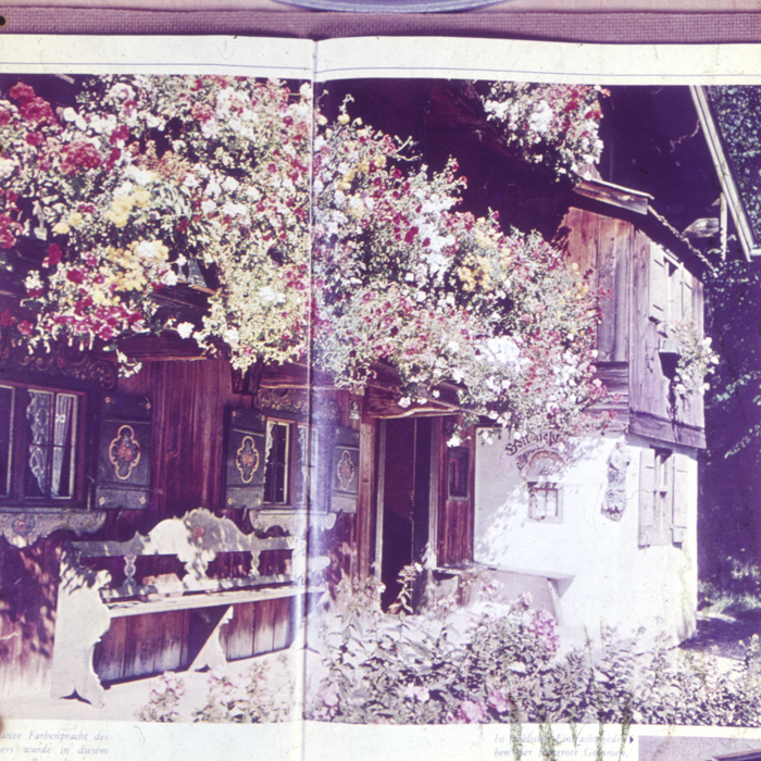 minerva_dn_1968_263_reproduceri_009